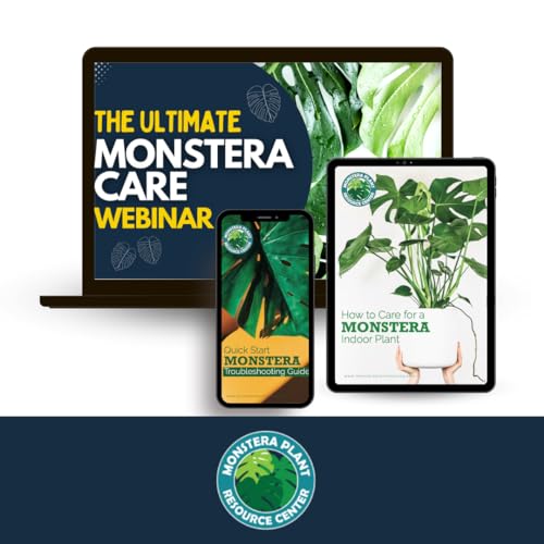 Kit de cuidado para planta Monstera miniatura 5