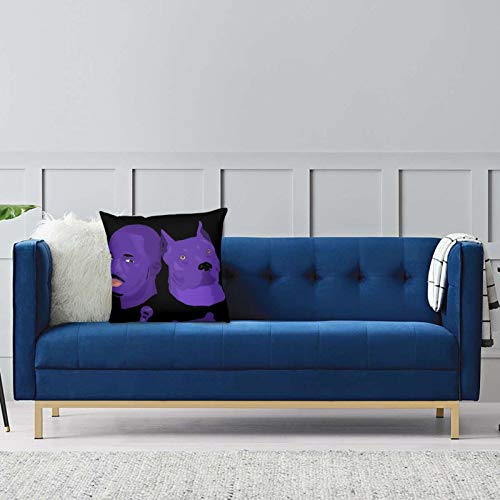 IkAutomatic Kitty Gris avec programmation précise et réservoir hermétique pour chat - 6