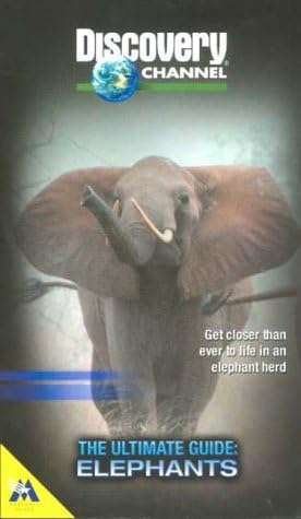 The Discovery Channel: The Ultimate Guide - Elephants [VHS] : Will ...