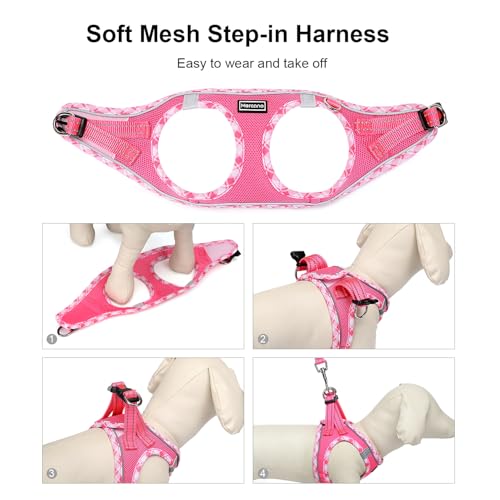 Mercano Soft Mesh Dog Harness and Leash Set, No-Chock Step-in Reflective Breathable Lightweight Easy Walk Vest Harnesses with Safety Buckle for Small Dogs, Cats (XXS, Fuchsia)