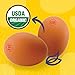 Eggland's Best, Large Organic Brown Eggs, 12 count (Pack of 1)