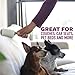 Scotch-Brite Pet Hair Pickup Extra Sticky Large Lint Roller, Designed for Removing Fur + Fluff on Couches, Clothes, Dog and Cat Beds, & More, 1 Pack, 60 Easy-Tear Adhesive Sheets Total