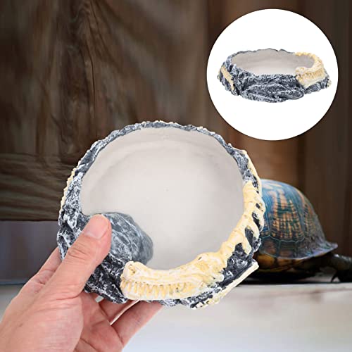 Ipetboom Bebedouro De Tigela De Comida De Lagarto Recinto Para Répteis Comedouro De Lagartixa Comedo