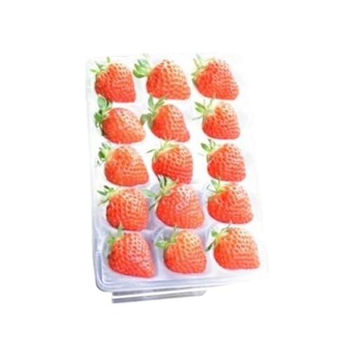 定期便 6回[1〜6月発送]雪国完熟越後姫 170g×6全6回 定期配送 越後姫 いちご 定期便 完熟 苺 新潟 上越