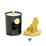 Regulus Meteorite Scented Candles Campo del Cielo Candle 5.6 oz 45 Hour Burn Amber Aromatherapy Cand
