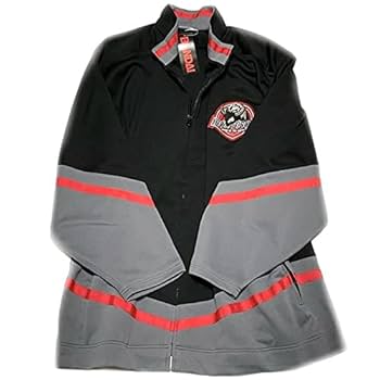 限定250個 百獣戦隊ガオレンジャー エンブレム額縁 ジャケット ワッペン レア Amazon.co.jp: 百獣戦隊ガオレンジャーDXシリーズガオコング