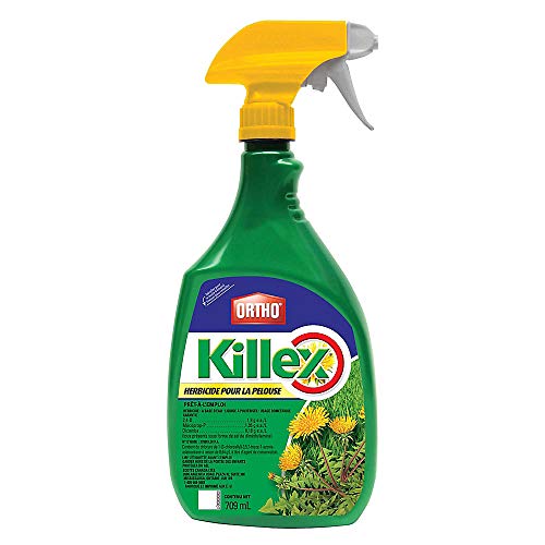 The Best Dandelion Killer That Won’t Kill Grass Best Cost