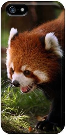 Gibaayc5602gezss Faddish Cute Red Panda Wallpaper Case Cover For Iphone 5 5s Amazon Co Uk Electronics Photo