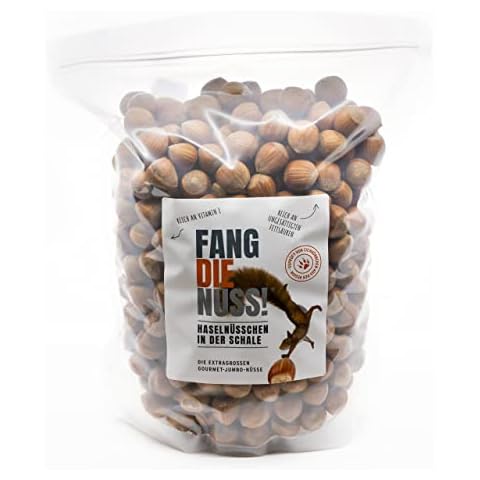 Fang die Nuss | 2kg Jumbo Haselnüsse in der Schale | XXL Gourmet Nüsse in Spitzenqualität Cover