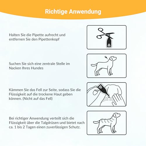 Animal Vita® Spot On Zeckenschutz für Hunde [zuverlässiger Zeckenschutz] Zeckenmittel für Hunde -Zeckenschutz Hund - Spot On für große Hunde (20 bis 30kg)