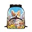 Corgi