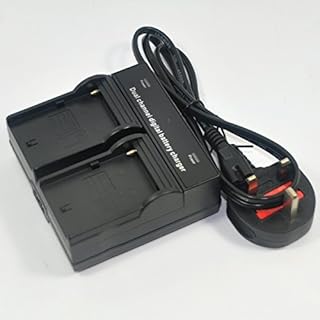 Jiexi Dual Double Mains Battery Charger for Sony NP-F330 NP-F550 NP-F570 NP-F750 NP-F770 NP-F960 NP-F970 CCD-TRV DCR-TRV Series Handycam Camcorder Photography LED Vedio Light