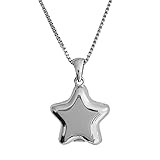 Honeycat Polly Star Locket Necklace in Gold, Rose Gold, and Silver Minimalist, Delicate Jewelry (Silver)