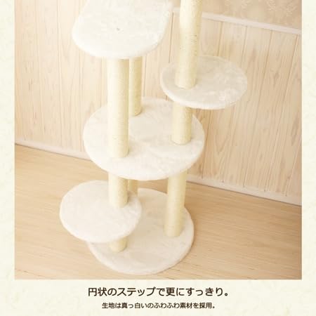 Amazon | Mau キャットタワー トルテ ホワイト | Mau | キャットタワー