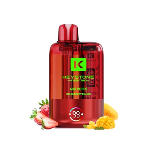 dq^oR ĝ KEYSTONE 40000z VAPE xCv ^уV[V ^N eʃLbh 1100mAhobe[ Type-C[d MTL/RDLΉ Rh~  z lCt[o[ ։T|[g jR`Ȃ 