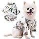 Voarge Haustier-Poloshirt,Hawaiian Style Floral Hundeshirt Bedruckte T-Shirts,Stylisches atmungsaktives Hundesommer-T-Shirt für kleine bis mittlere Hunde Katzen (Kokosnuss-Weiß, S)