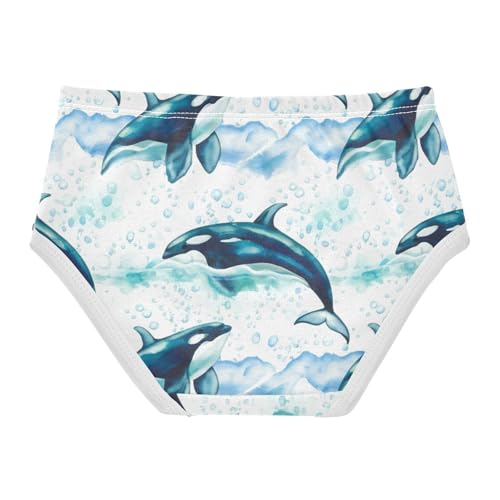 Watercolor Orcas Whale Sea Toddler Underwear Custom 2t Cotton Panties Little Girl Florals Kids Briefs Undies2
