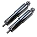 Produktbild 2x Stossdämpfer Dämpfer Federbein HINTEN ÖLDRUCK