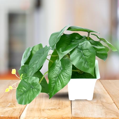 Image of Natural Look Artifical Green Plants with Pot for Decoration | Size - 23W x 15H | for Gifting, Home, Bedroom, Garden, Balcony, Office Corner, Living Room, New Year, Wedding Decoration Items