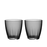 Kosta Boda Bruk 6.6 Ounce Tumbler Pair, Smoke Grey, Small