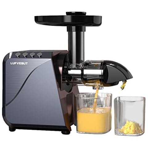 Slow juicer Kaltpress Entsafter mit Überhitzungsschutz Cover