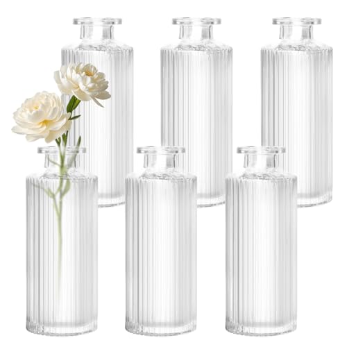 Prmape 6 Stück Kleine Glasvasen Set, Blumenvasen Set Vintage, Kleine...