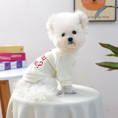 Suéter para Perro Pequeño Día San Valentín miniatura 2