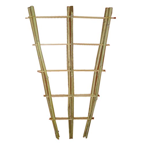 Preisvergleich Produktbild Gardissimo Bambus-Rankgitter 110x40x1,2cm 3er-Set