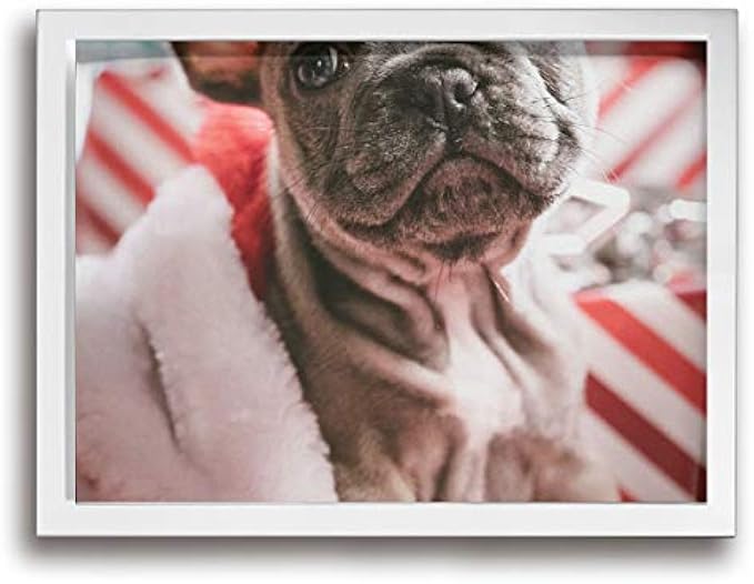 VSM Abrasive Belt, 6" Width, 89" Length, Ceramic, 24 Grit, Cloth Backing, Blue, Pack of 10