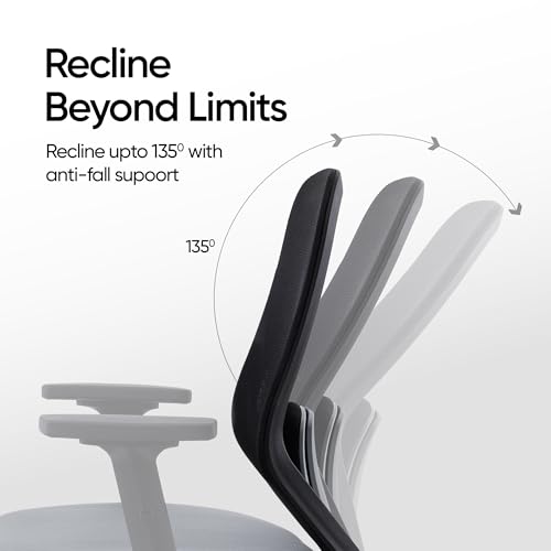 Image of Frido Glide Ergonomic Office Chair with Height Adjustable Lumbar Support | Breathable Mesh Back | 2D Adjustable Armrests | Home & Work Desk Chair for Long Sitting Hours | 100 kg Capacity | Grey |