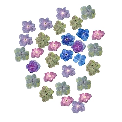 Flores secas prensadas para manualidades Levemolo 30 pcs miniatura 1