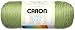 Bulk Buy: Caron Simply Soft Collection Yarn (3-Pack) Pistachio H97COL-3