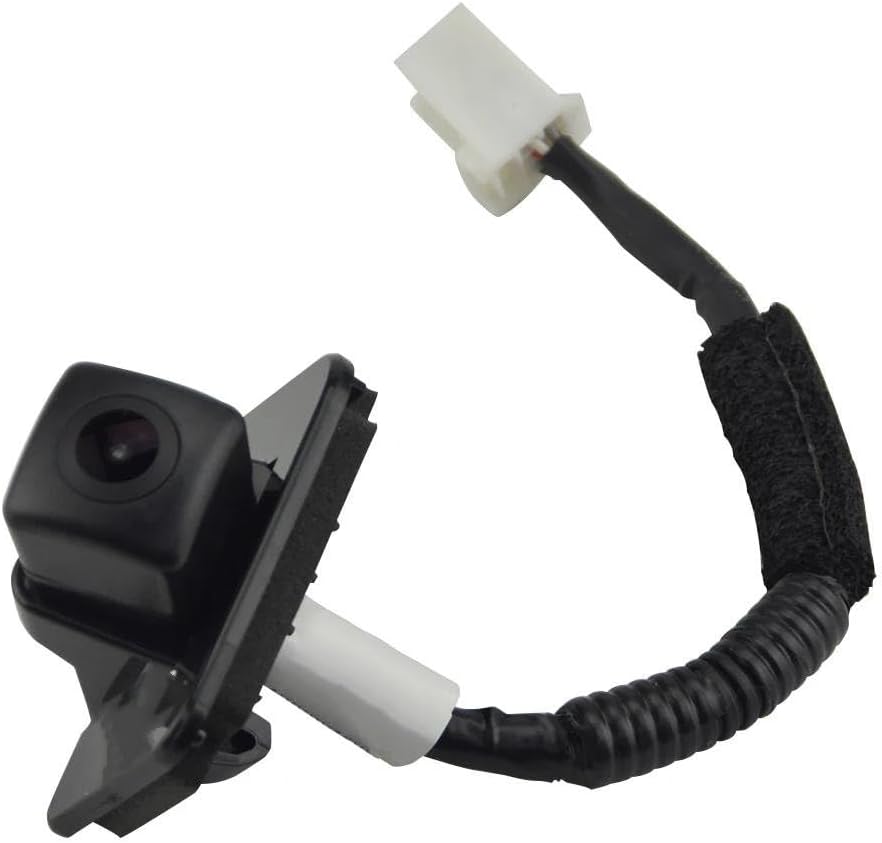 性生活解剖図譜 松戸尚男著 性生活解剖図譜 松戸尚男著