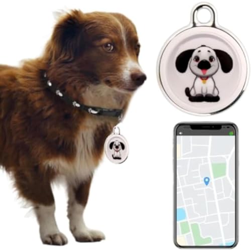 REENEW L GPS H Lp GPS ?h h? GPS?? L GPS ʊ ()