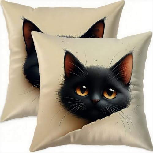 Housse coussin 75x75cm imperméable en velours noir avec zip invisible - 2