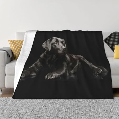 ѕz ubN uh[ go[  킢  uPbg  ӂӂ GARuPbg Ђ|  _炩G tl 􂦂 Ódh~ lGKp lC v[g 150cmx200cm