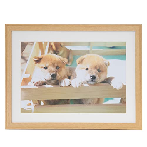 FUJICOLOR ؐz YM-9 Ch4 ؒn 407604