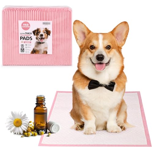 Extra Thick Training Pads for Dogs, Chamomile Scented Puppy Pads Pee Pads 22\"x23\", 40-Counts , Super Absorbent & Leak-Proof & Odor Eliminating
