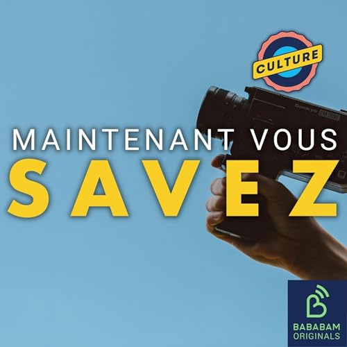 Quel est le pire film français de tous les temps selon le public ? cover art