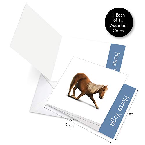 The Best Card Company - 10 Blank Yoga Note Cards (4X 5.12 Inch) - Boxed Notecards With Envelopes, Cute Animal Cards, Zen Assortment - Horse Yoga Mq4171Ocb-B1X10 #TOP6