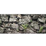 Dtekoj 36X20IN Stone Aquarium Background, Rock Fish Tank Background, Natural Rocky Glass Terrarium Background with 8 EVA Double-Sided Tape