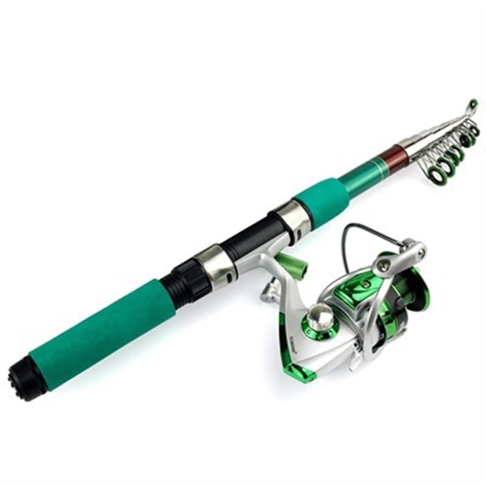 Canne à pêche télescopique avec moulinet argenté 3.6 m pour la carpe