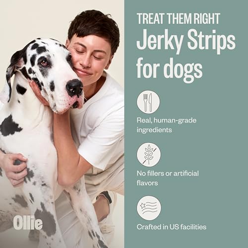 Ollie Chicken and Apple Jerky Dog Treats, 5 oz Pack of 3, All Natural, Healthy Snacks, Made with Real Meat, Human Grade, for Dogs - Thumbnail 3