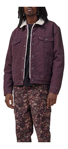 Image of Levi's Men's Sherpa Cotton Blend Standard Length Trucker Jacket
