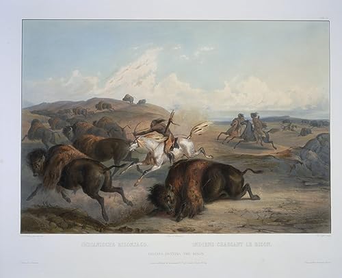 Lienzo de indios cazando bisontes de Karl Bodmer para decorar salón u oficina, 60x90cm