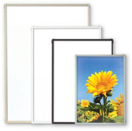 Arte eco Irepane OG all white chrysanthemum ST-P4-WH (japan import)