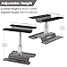 Hobbypark RC Car Stand Work Station with Weight Repair Workstation Aluminum Alloy 360 Degree Rotation Lift Or Lower for 1/12 1/10 1/8 Scale (Titanium)