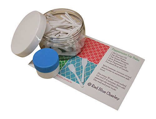 150 White Mini Oar Plastic Spatulas | Container | Mini Jar