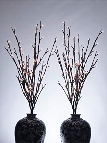 Amazing Finds 2 Pack 96 Light Branch (Willow)