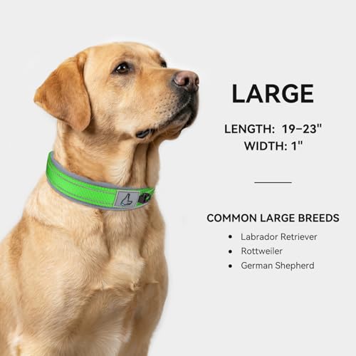 Image of Joytale Dog Collar for Large Dogs, Neoprene Padded and Adjustable, Reflective Wide Heavy Duty Pet Collars with Durable Metal Belt Buckle for Walking, Green, L
